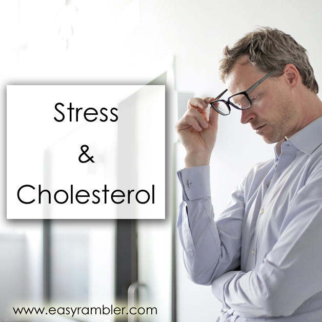cholesterol and stress link